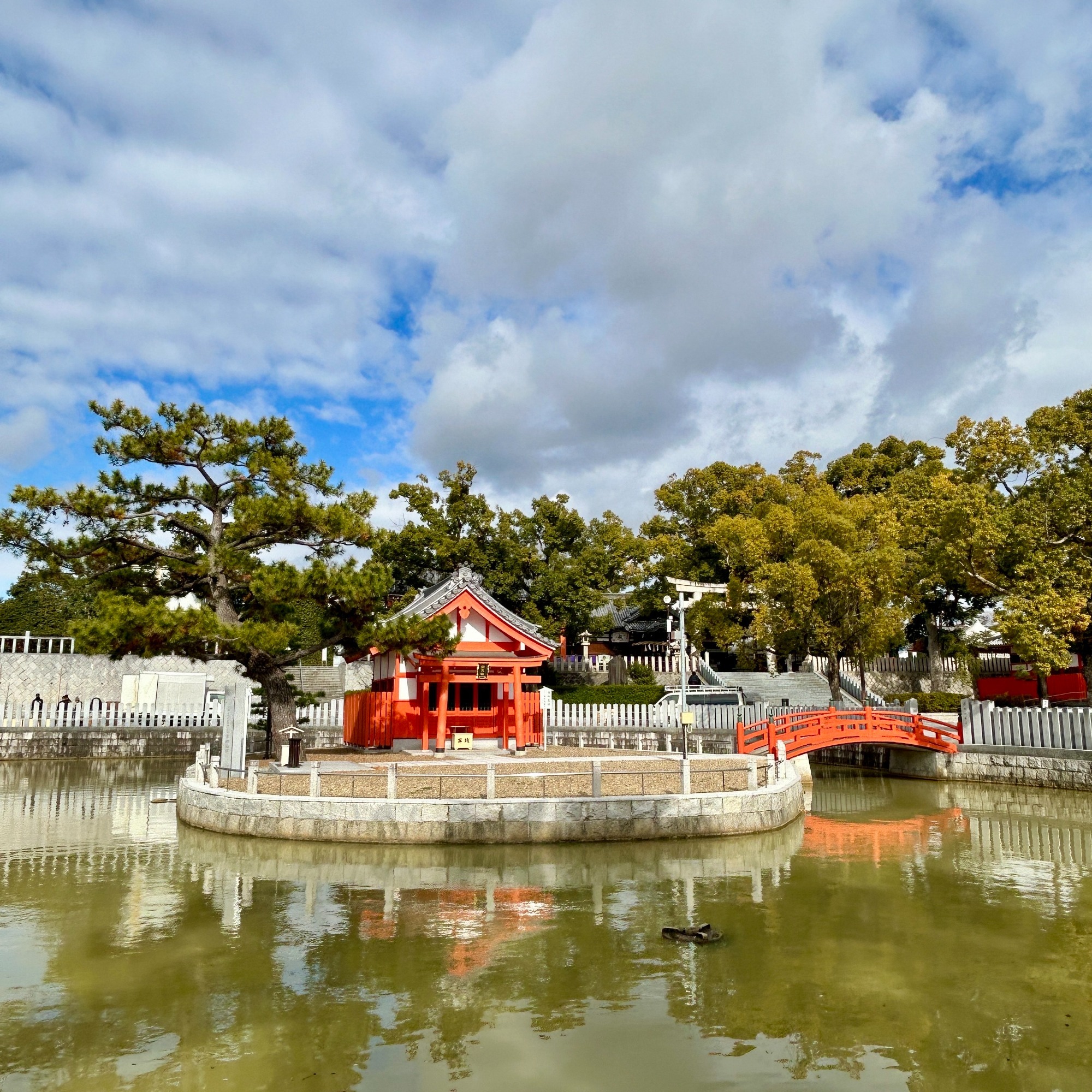 写真：市杵島社