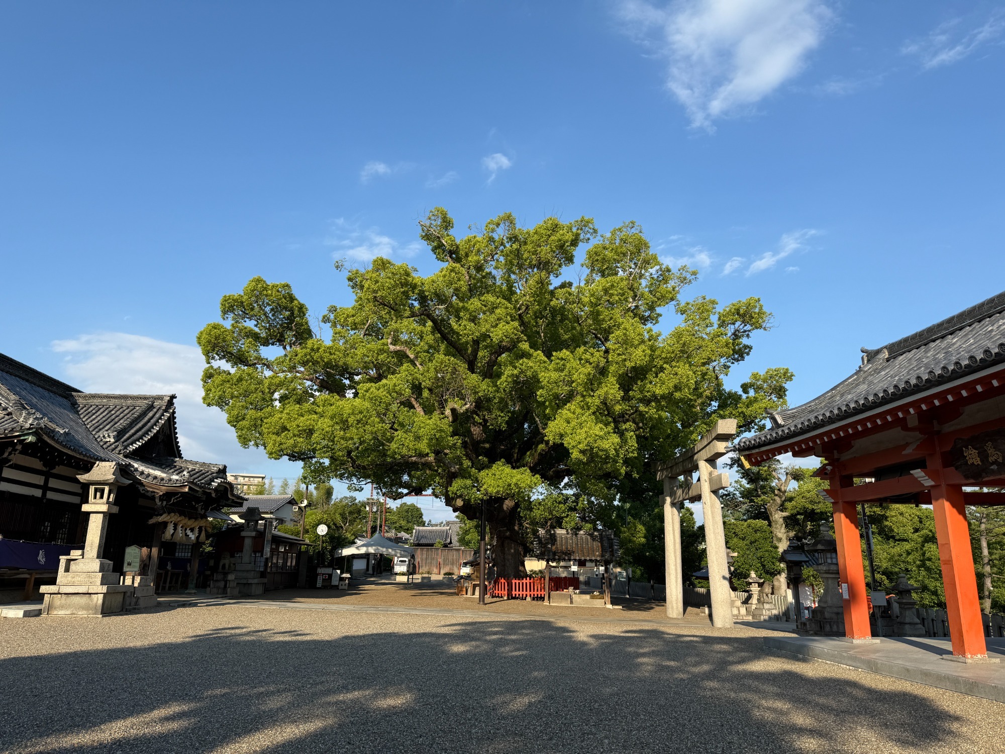 写真：外観